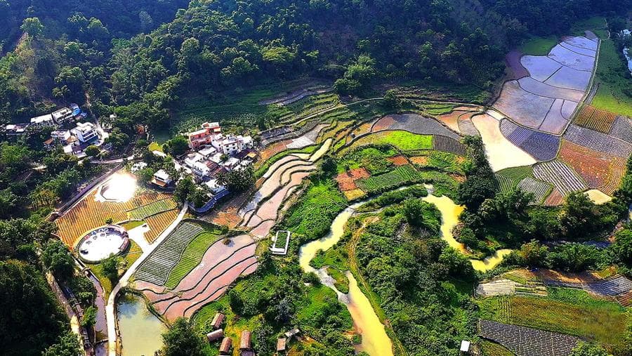 做好生态产业助推乡村振兴——海南省五指山市水满乡毛纳村