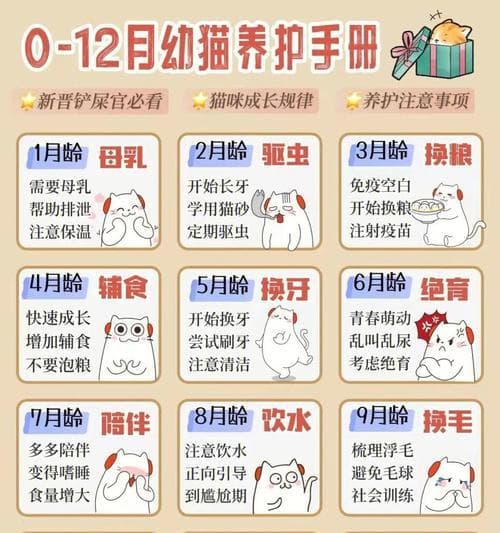 如何训练幼猫上厕所？（有效的宠物卫生教育方法和技巧）