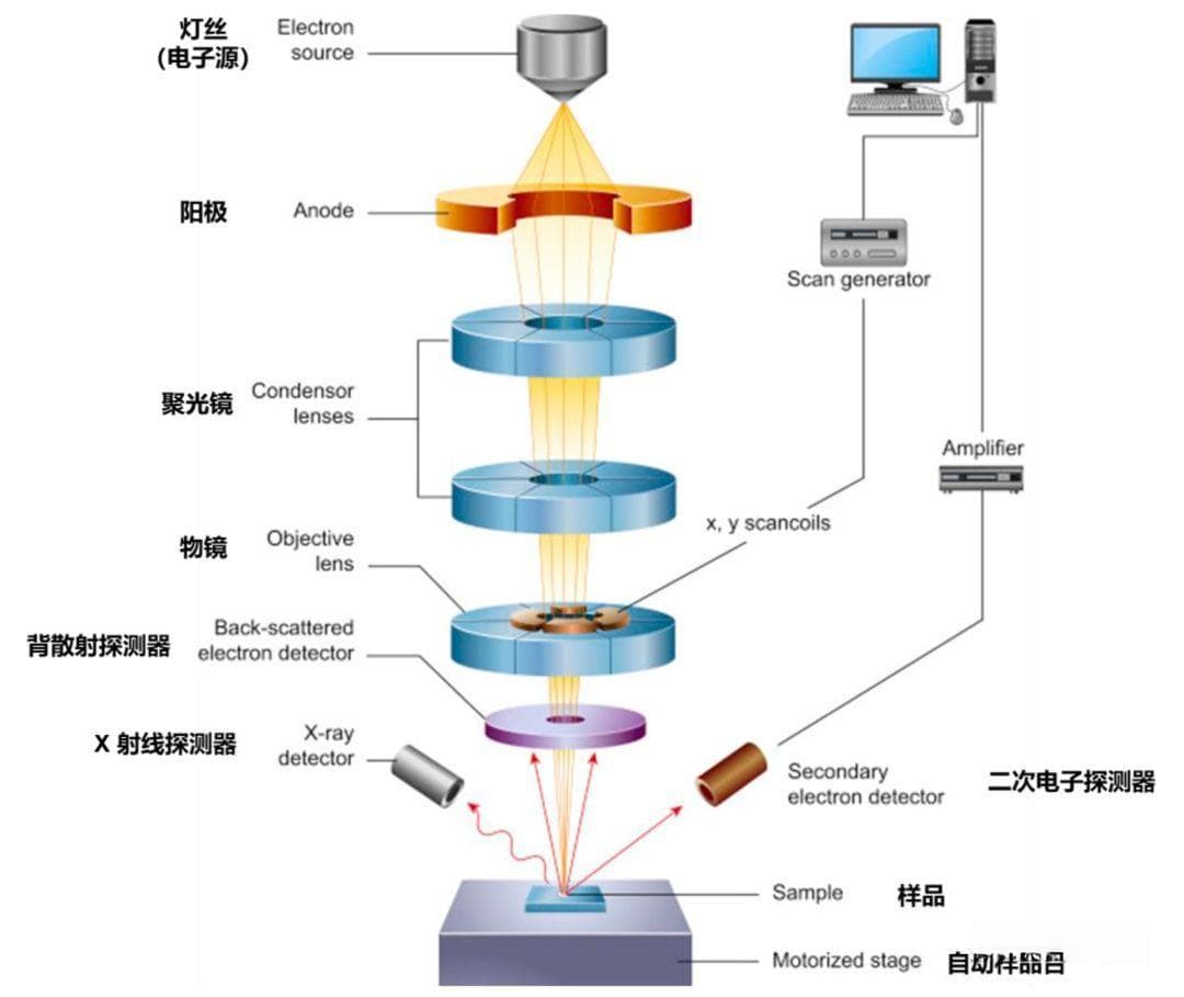 扫描电镜SEM技术详细解读