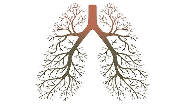 腺样囊性癌恶性程度高吗？能活多久