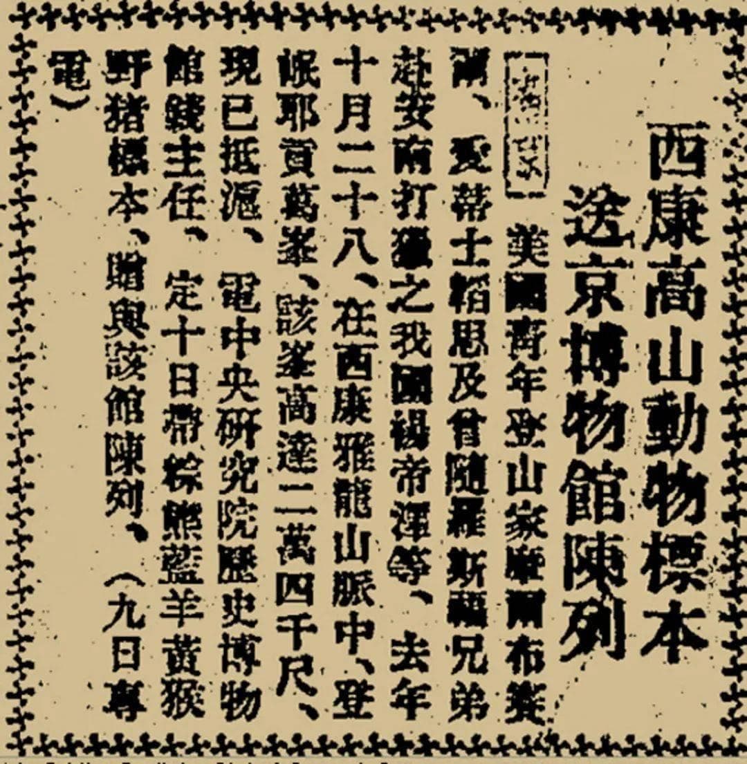 【美丽四川】雅安：大熊猫标本的起源地