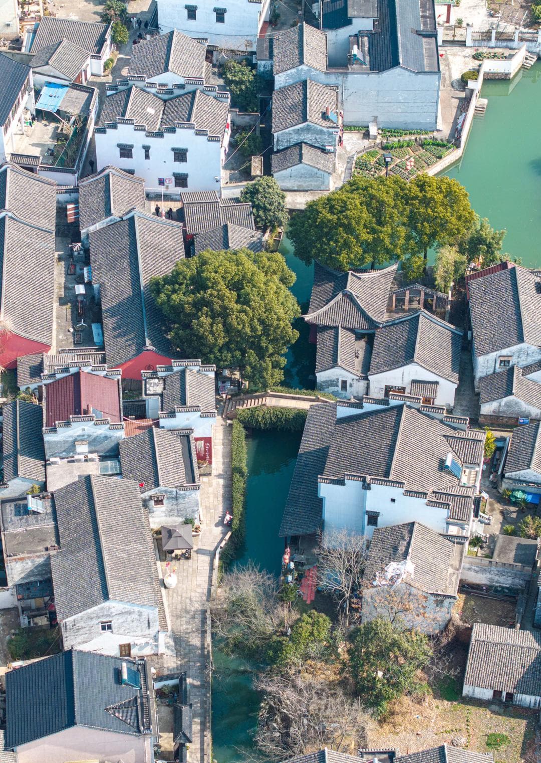 苏州出发1小时，邂逅"最好江南小镇"湖州荻港