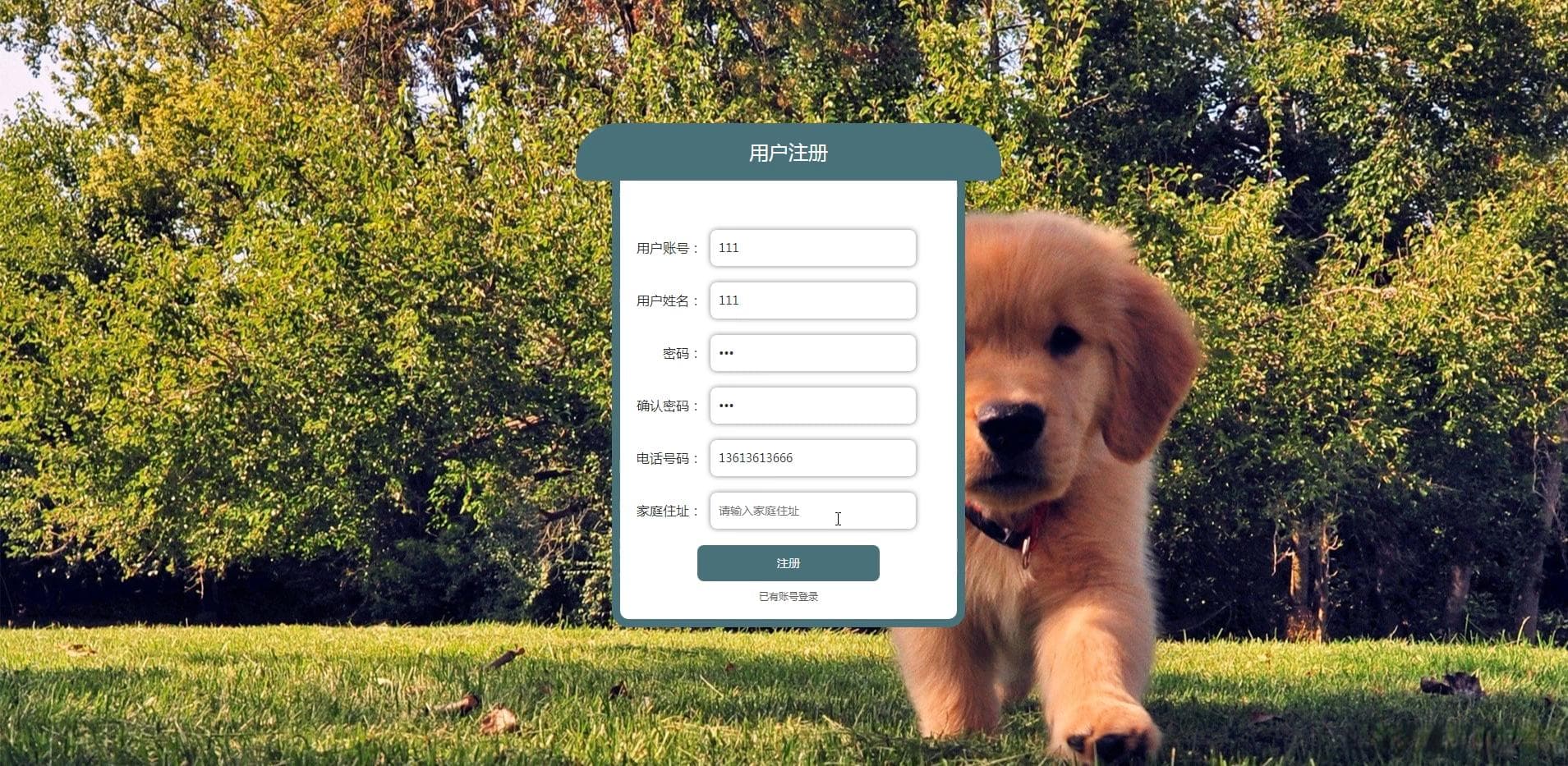 SpringBoot萌宠社交分享系统的设计与实现