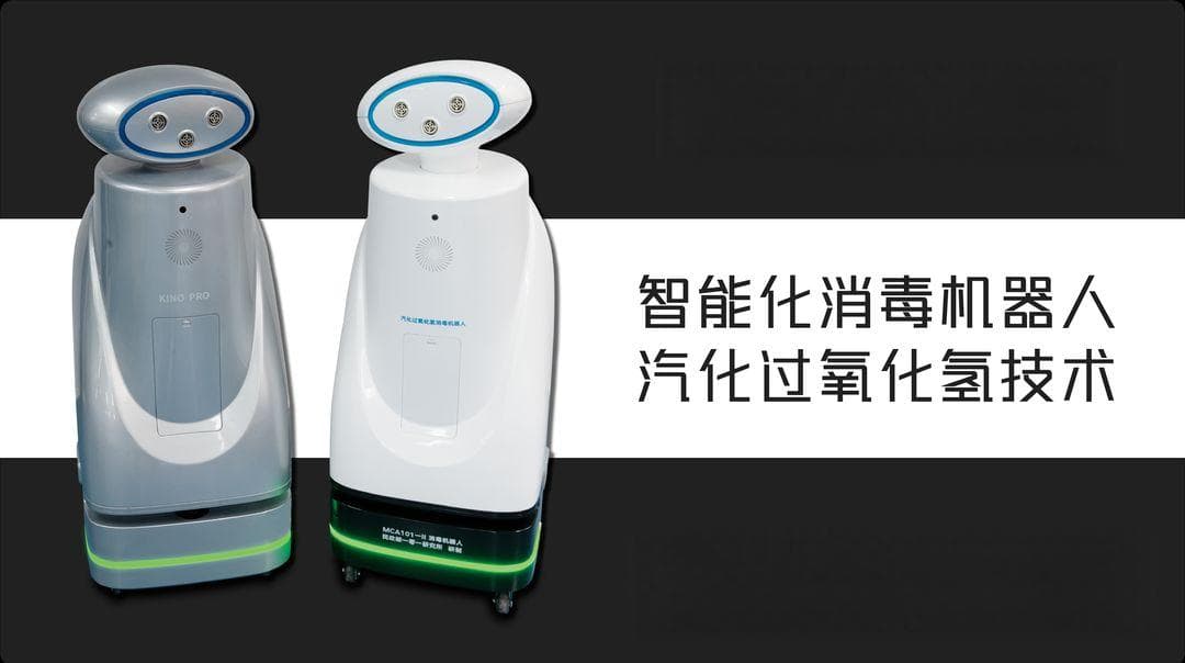 宠物消毒：如何科学饲养仓鼠，让它们健康快乐成长