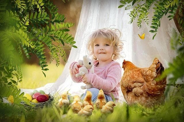 宝宝挑食蔬菜？这些方法或许能帮到你！