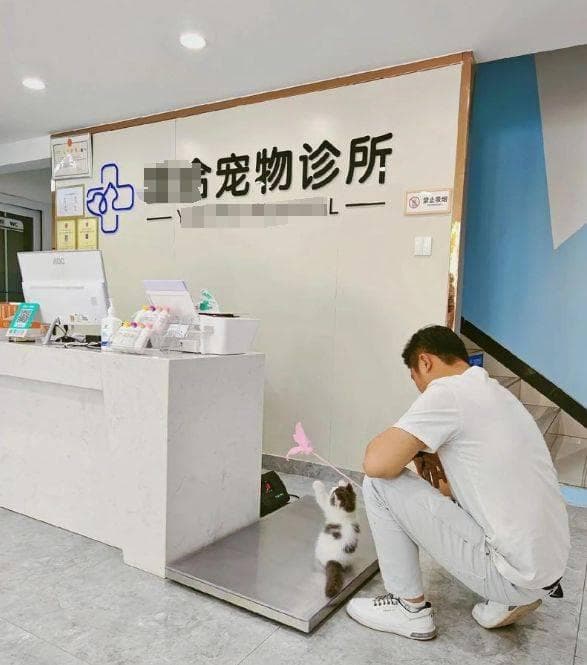 想从事宠物医疗行业？想做宠物医生？需要什么条件？官网文件公布