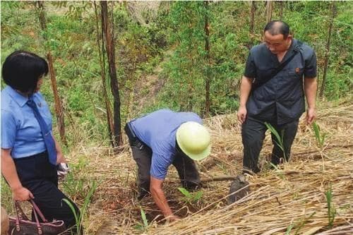 肇庆封开：司法守护“北回归线上的绿洲”