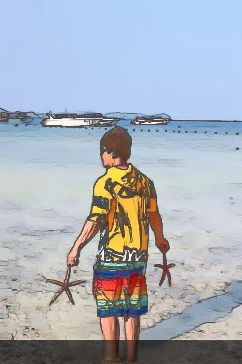 《鸟之诗》：动画主题曲背后的音乐魅力与广泛影响解析