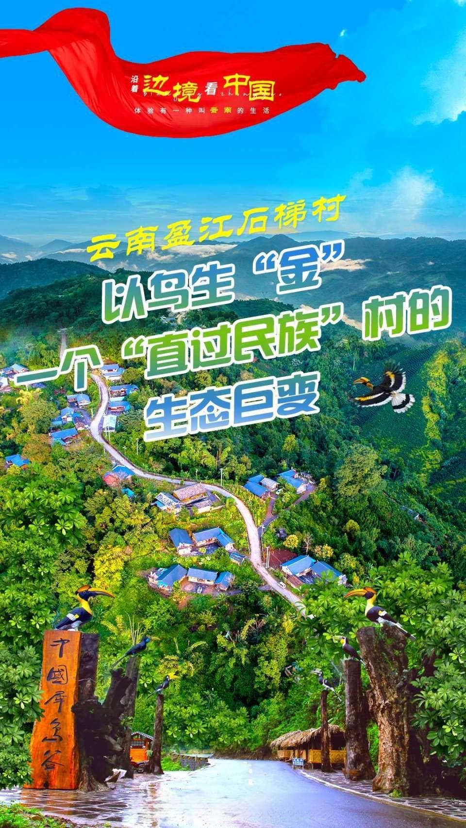 沿着边境看中国 | 云南盈江石梯村：以鸟生“金”，一个“直过民族”村的生态巨变