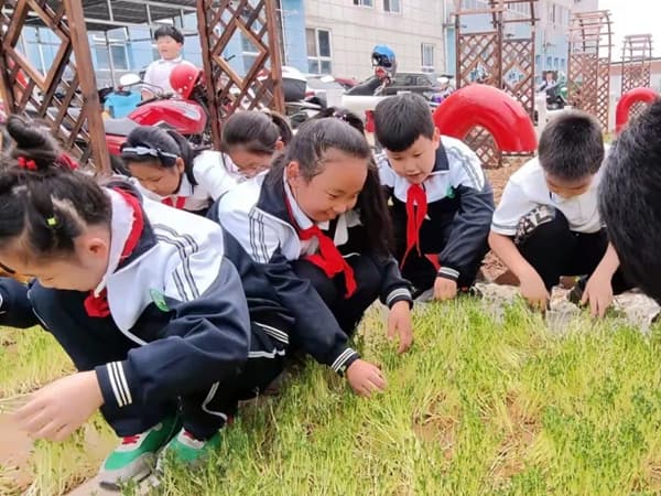 汉滨区城东小学：开发“耕梦”课程  深化劳动教育