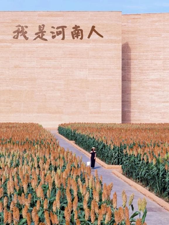一省四古都，历史课本的封面就应该选这个省份