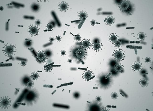冰箱微生物细菌多吗 冰箱健康使用小妙招