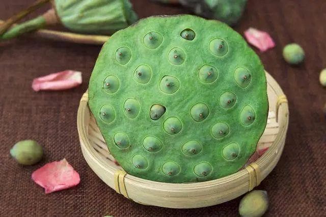 “保质期越长越危险？”食品工程师揭秘：这2类食物，越新鲜越要小心