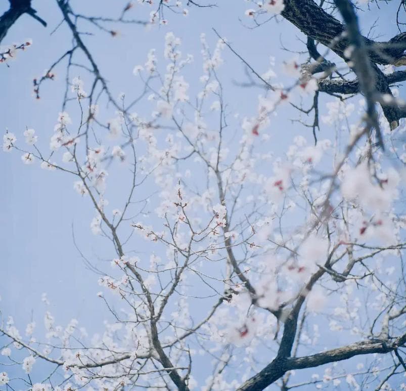 沃勒斯坦：世界体系理论