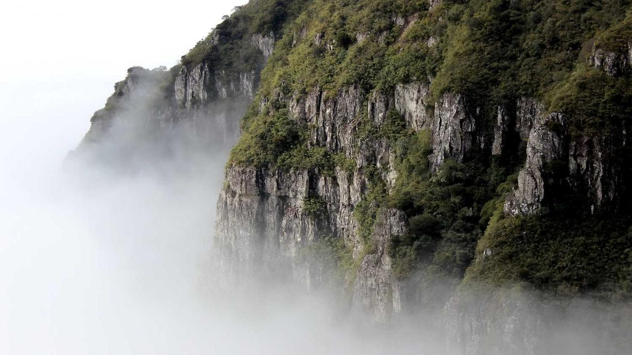 司法考试改革后，法考通过率真的变高了吗？深度揭秘