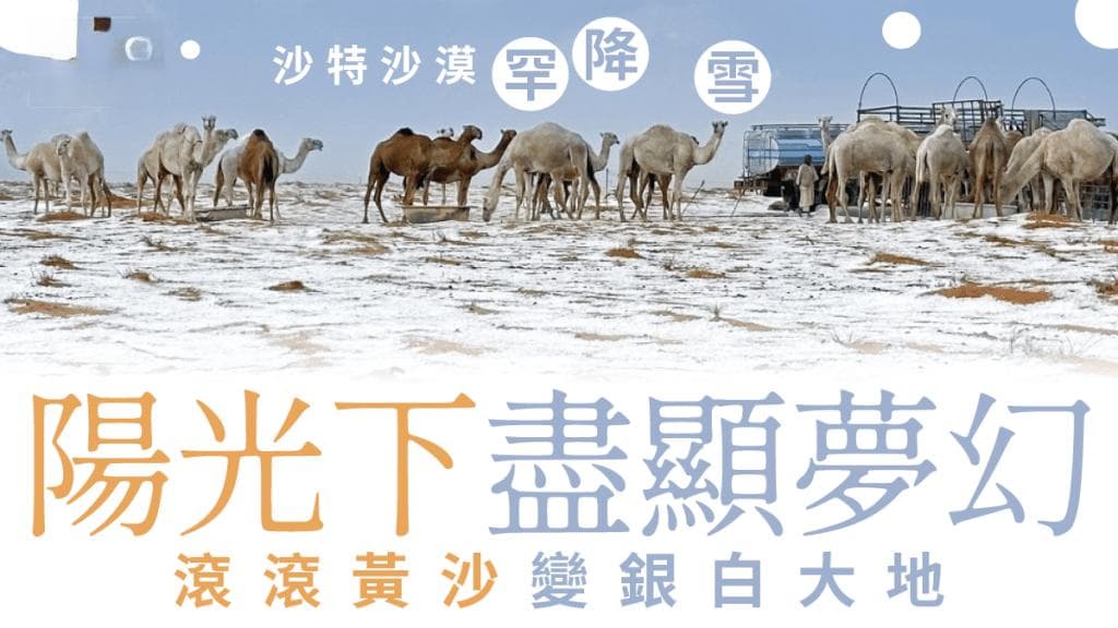 沙漠降雪：沙特阿拉伯西北部现罕见冰雪景观