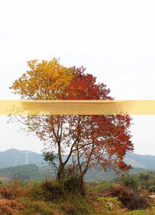 去西藏玩7天多少钱合适？费用详解与预算建议