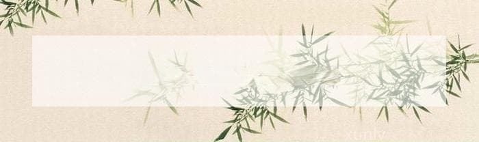 普洱茶中的黑条是什么东西