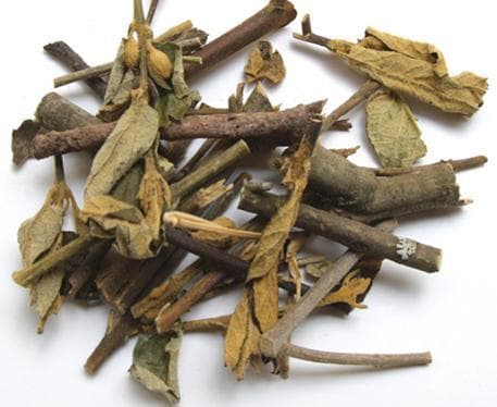 蜜桶花：一种传统中药材的全面解析