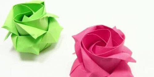 玫瑰花剪枝管理图解教程？如何正确修剪玫瑰？