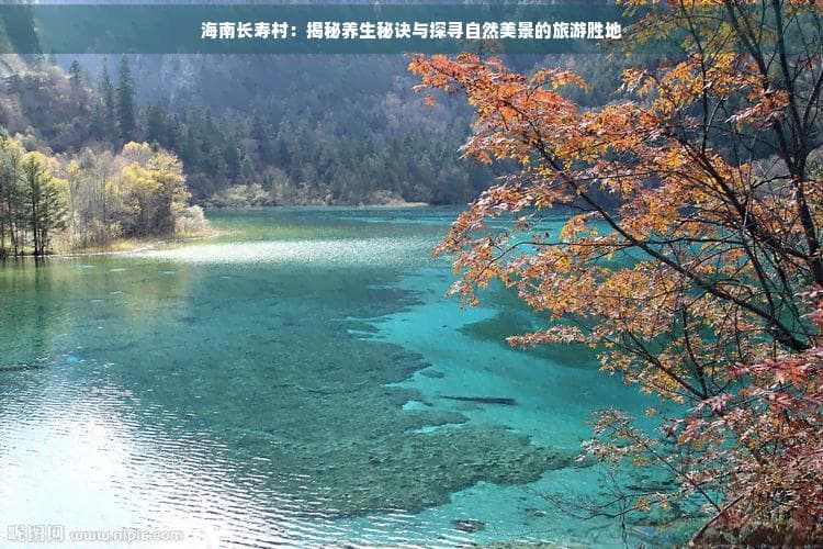 海南长寿村：揭秘养生秘诀与探寻自然美景的旅游胜地