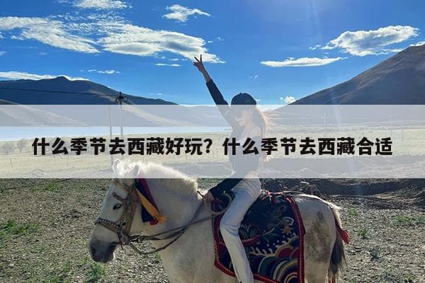 什么季节去西藏旅游最合适？全方位解析西藏旅游最佳时间