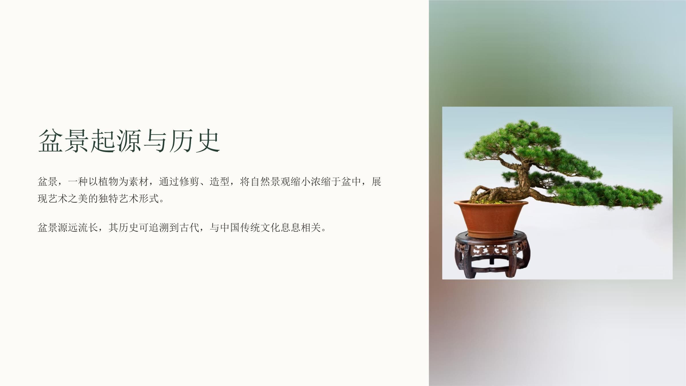 盆景起源与历史