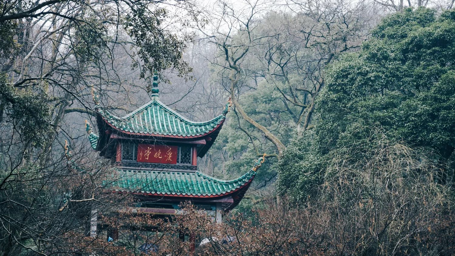 杭州灵隐寺摄影攻略：手机也能拍出专业大片