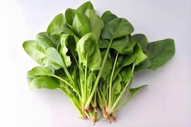 清肠解热营养高的6种蔬菜，别错过！