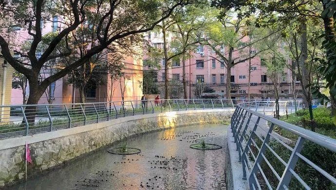 流经华东理工校园的青春河，终于恢复了“青春”