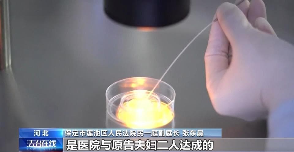 法治在线丨从百万彩礼到AI侵权 2024热点案件推动法治进程