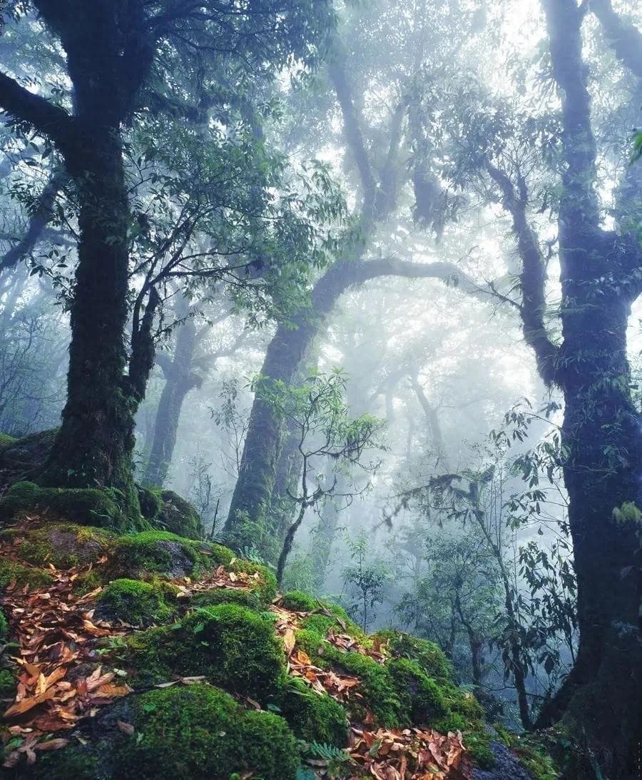 专家谈“哀牢山还能不能去”：提升安全意识，遵守景区规定可放心进入