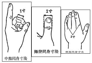中医学基础知识：重要考点之腧穴