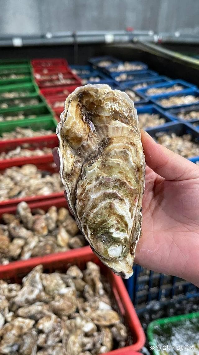 核废水即将进入中国！这几种鱼尽量不吃，每一种都别大意！