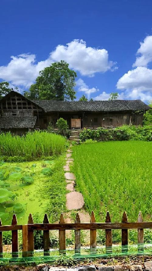 乡下人家有哪些风景？探秘乡间：发现不一样的田园风光!