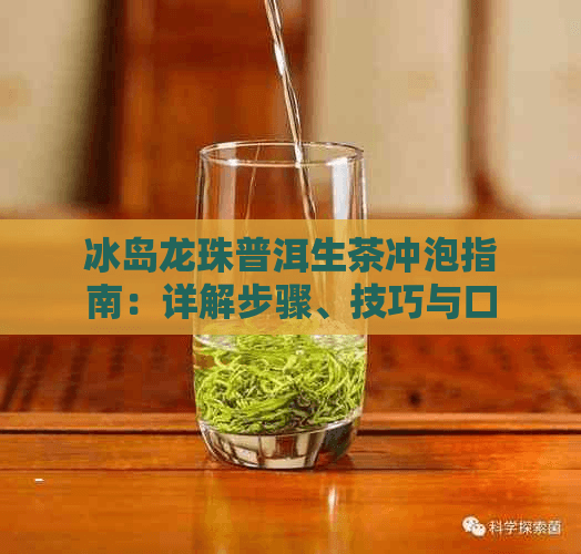 冰岛龙珠普洱生茶冲泡指南：详解步骤、技巧与口感体验