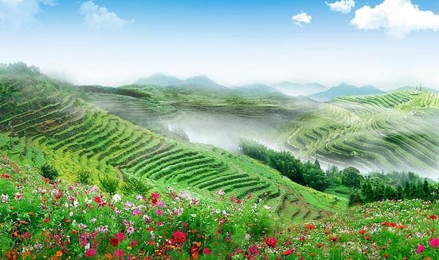 福州云顶：福建青云山上的生态旅游胜地