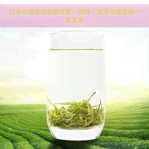 红茶与陈皮的奇妙搭配：功效、禁忌与健益处一览无余