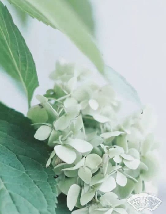聪明的最高境界是：厚道