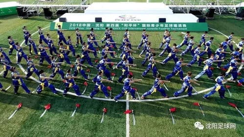 足球赛果查询方法(如何查国际足球比赛结果)