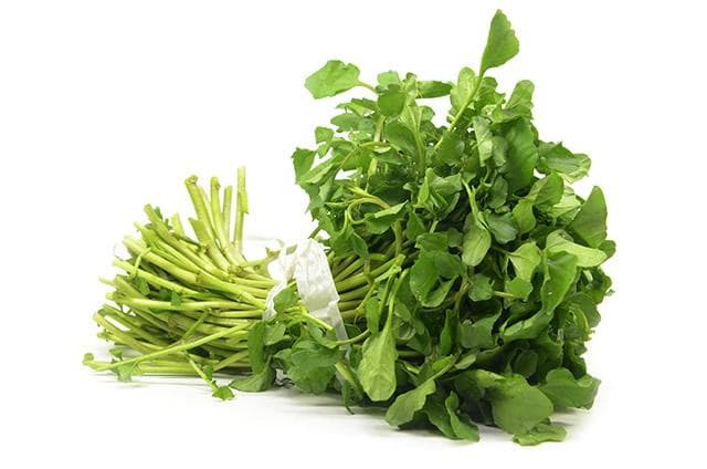 十大最佳低碳水化合物蔬菜 10种最适合减肥吃的低碳水蔬菜