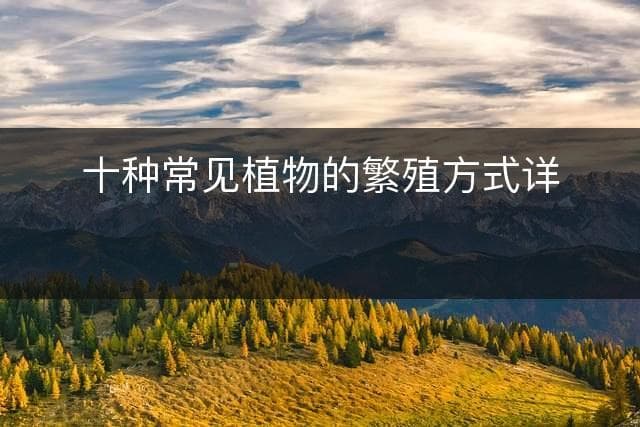 十种常见植物的繁殖方式详解
