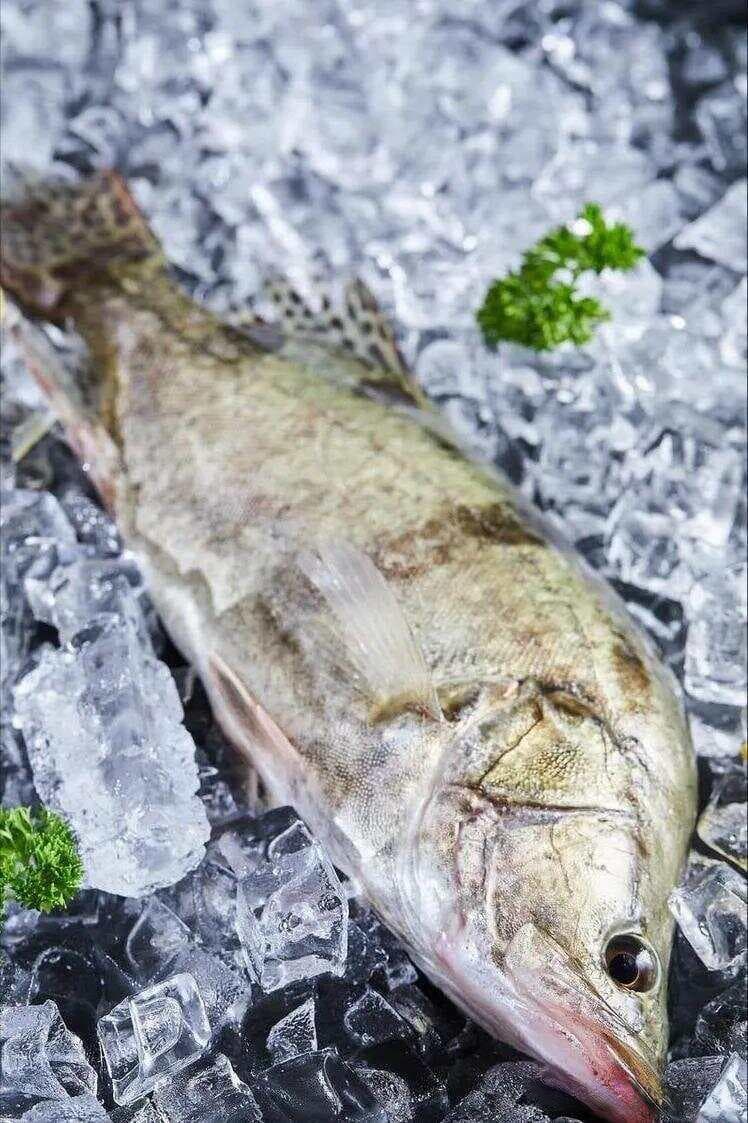 中国十大鳜鱼产地：从抚远到洪泽湖，品味千年美食传奇