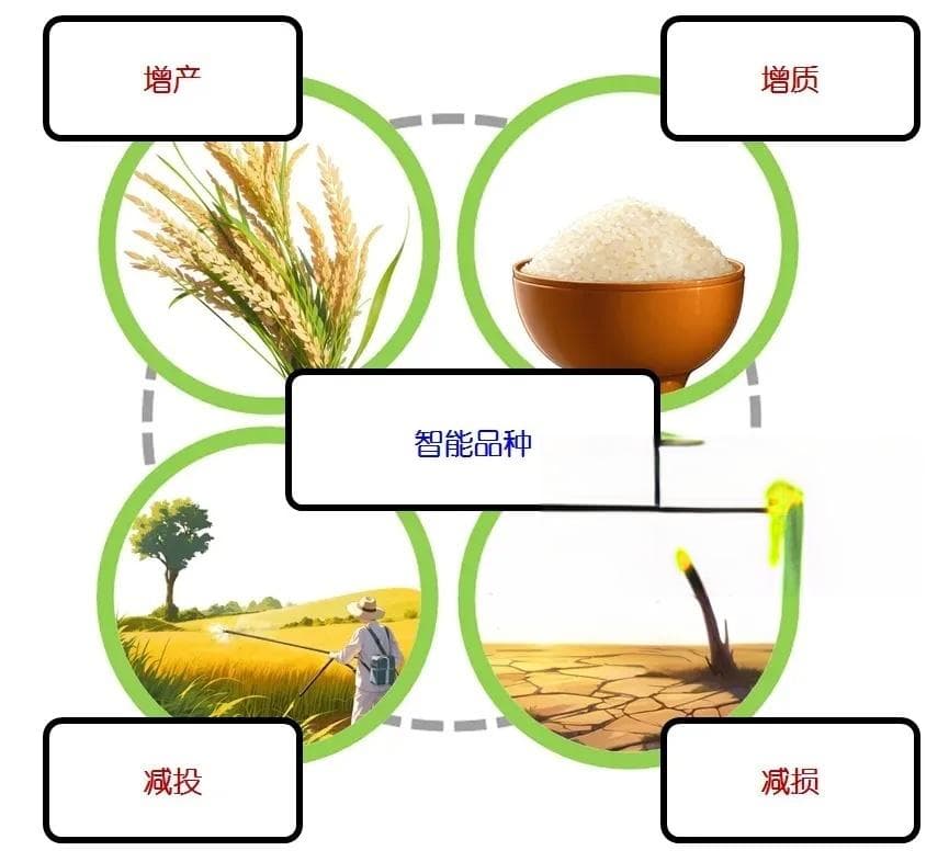 李家洋院士：未来育种5.0方向