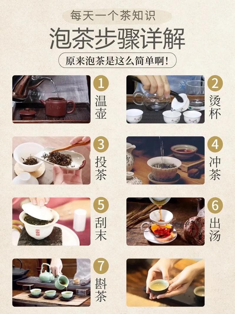 怎么润茶，冲泡茶叶时为什么要洗茶、润茶？该怎么做？