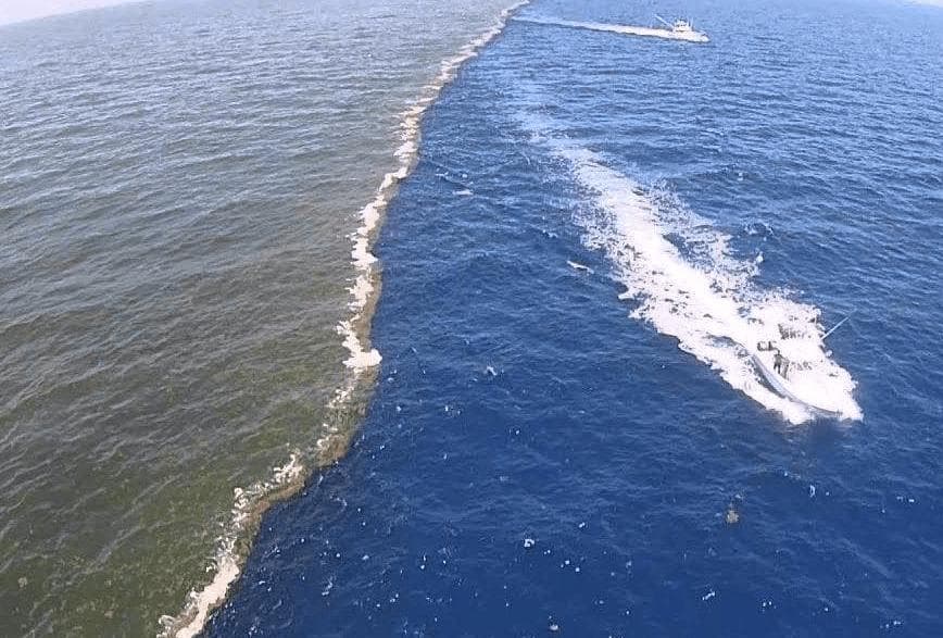 同样是海水，为何太平洋和大西洋的海水无法相容？还有高度差？