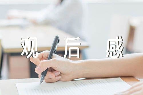 电影《长空之王》观后感精选6篇