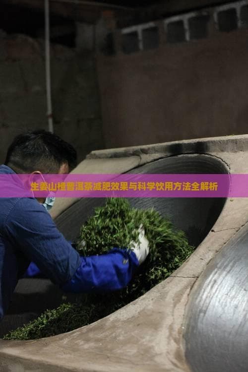 生姜山楂普洱茶减肥效果如何？饮用方法与禁忌全解析