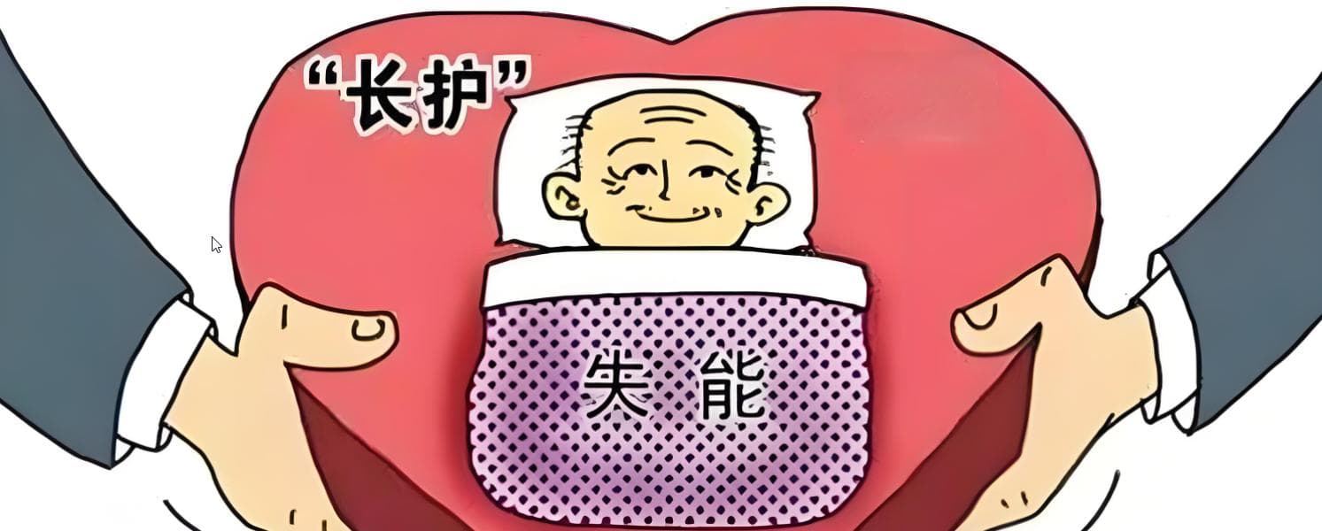 上海长护险全解析：等级划分、费用标准及申请指南