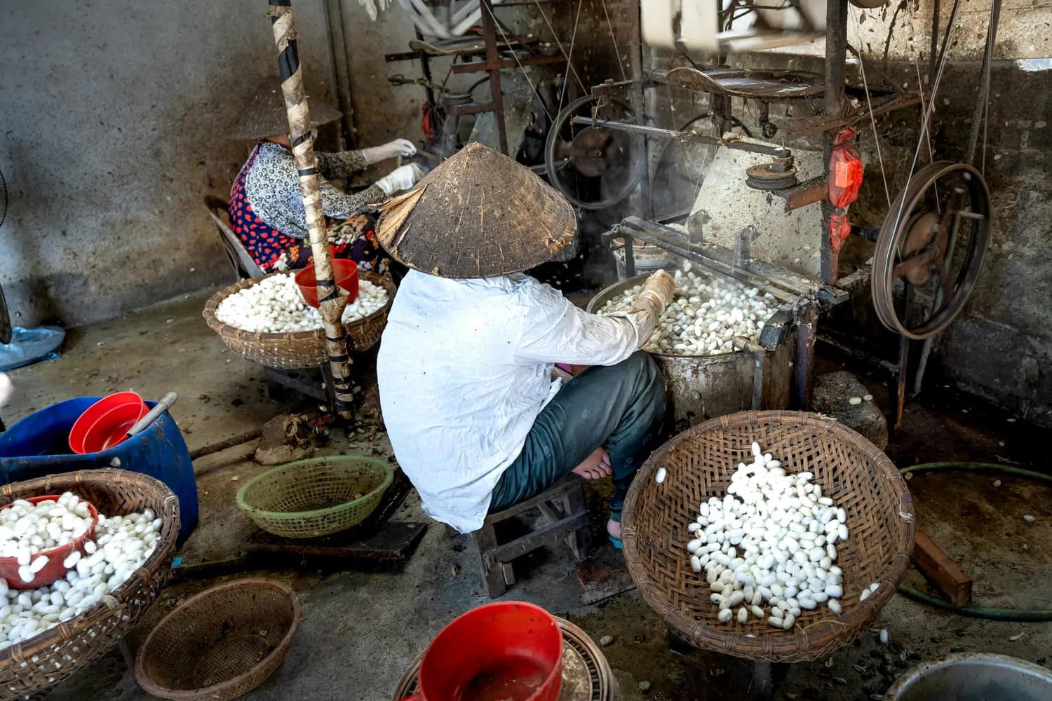 走进震泽：品尝50年阿婆团子，感受2000年蚕丝古镇